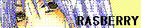 youko-banner.jpg